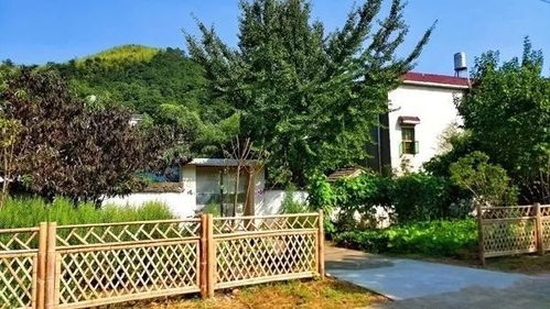 走进芜湖美丽乡村 田园风光中的生活垃圾治理新画卷